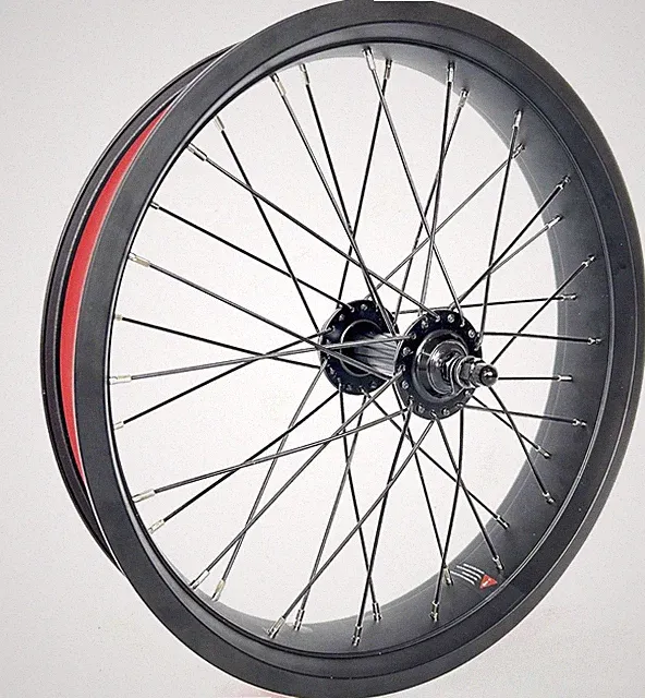 20x4.0 Front Fat Bike Wheel Bicycle Double Bearing Hub, 36x12G Spokes Disc Brake