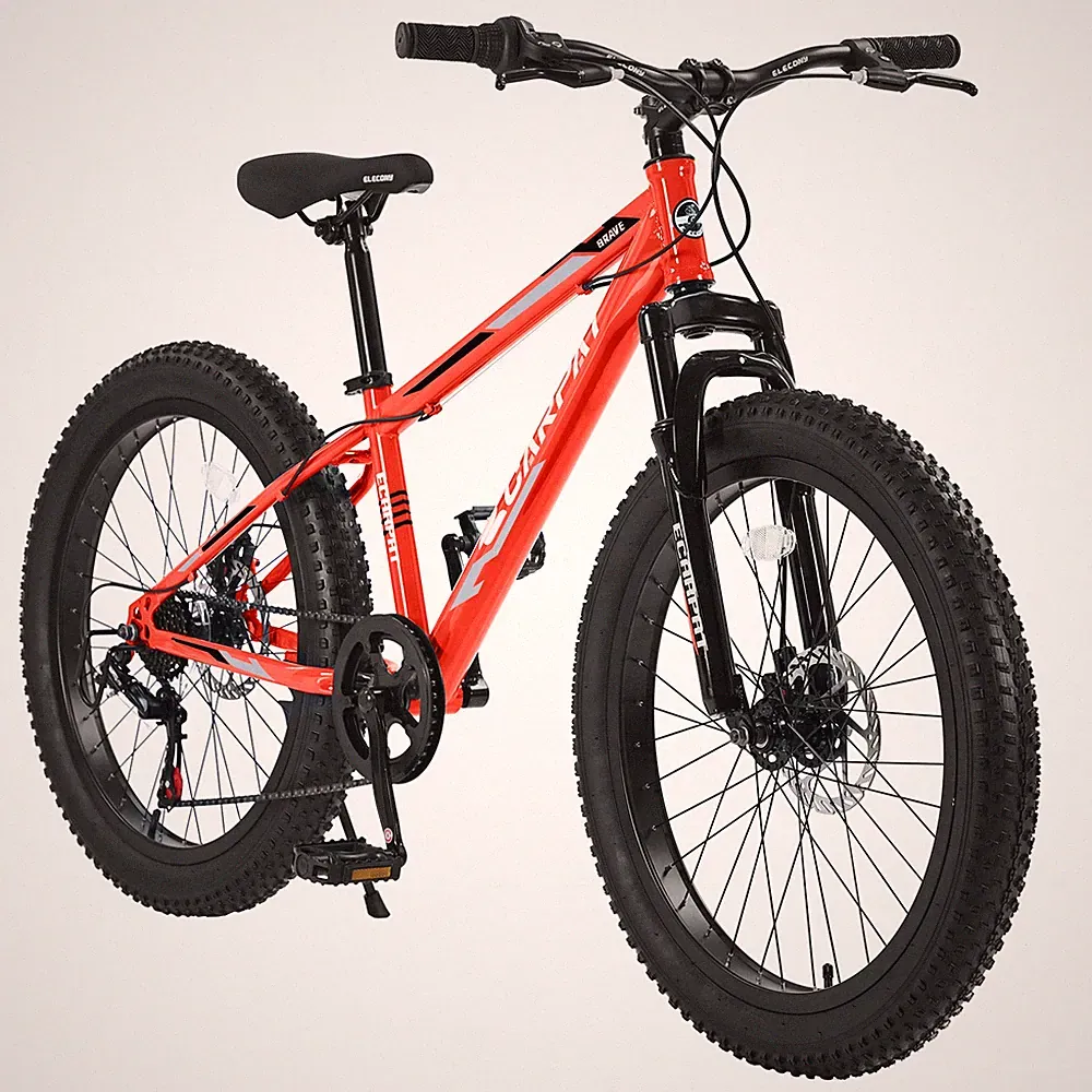 24 Inch Fat Tire Bike for Adult/Youth Mountain Bike with Dual Disc Brake Orange
