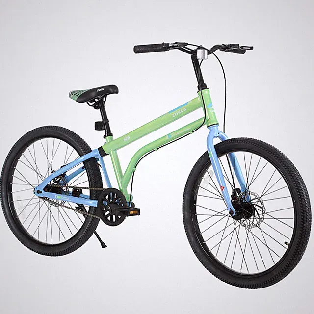 24 Inch Kids Bike for Ages 10+ Single Speed with Dual Disc Brakes Blue+Green