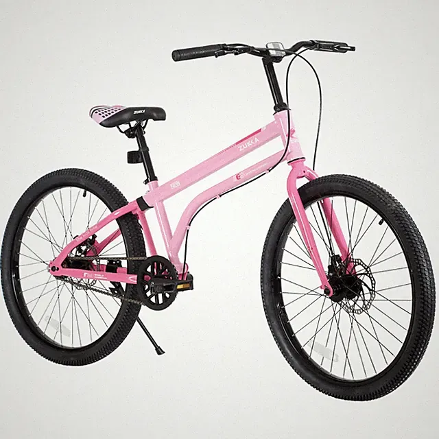 24 Inch Kids Bike for Ages 10+ Single Speed with Dual Disc Brakes - Pink