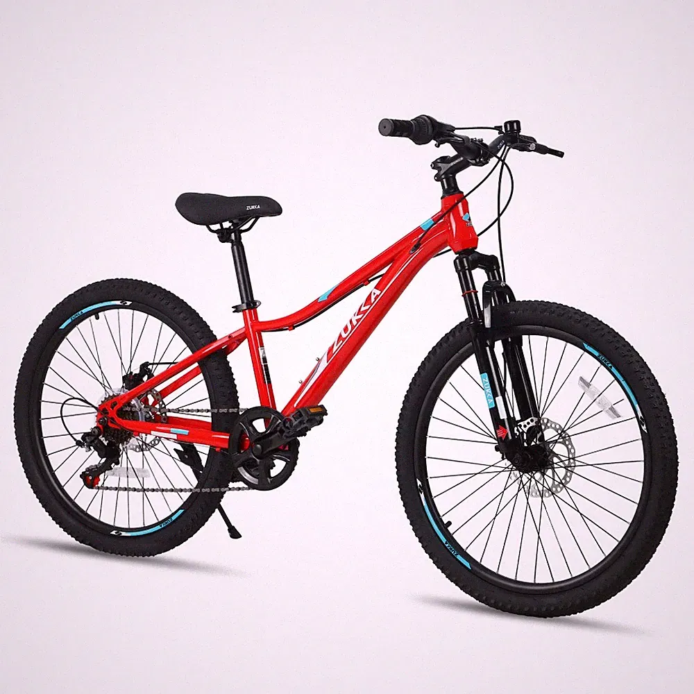 24" Kids 6-Speed Mountain Bike Dual Disc Brake Front Suspension Steel Frame Boys