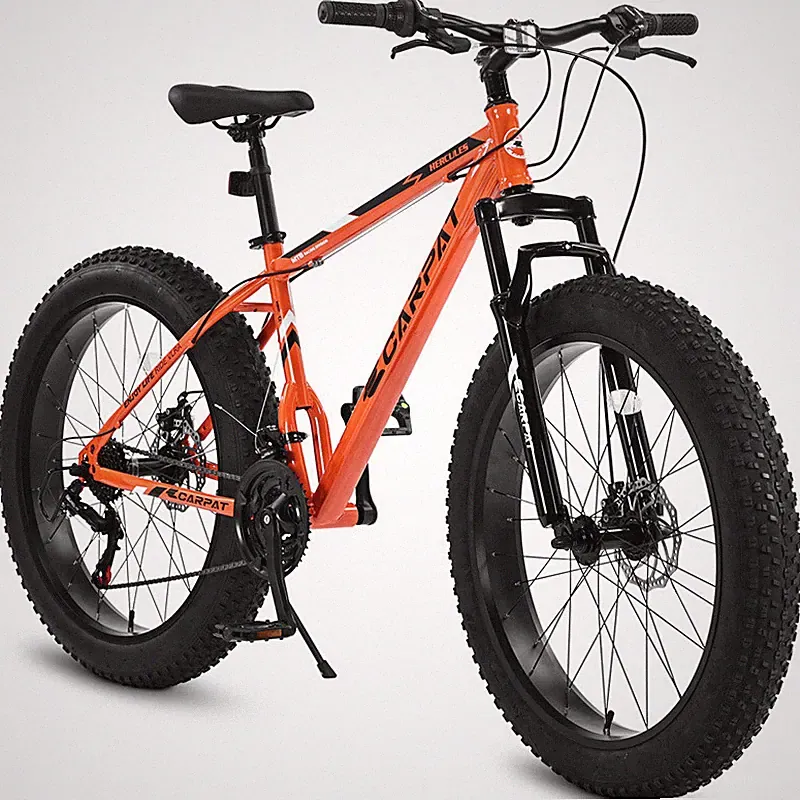 Dual Disc Brake Fat Tire