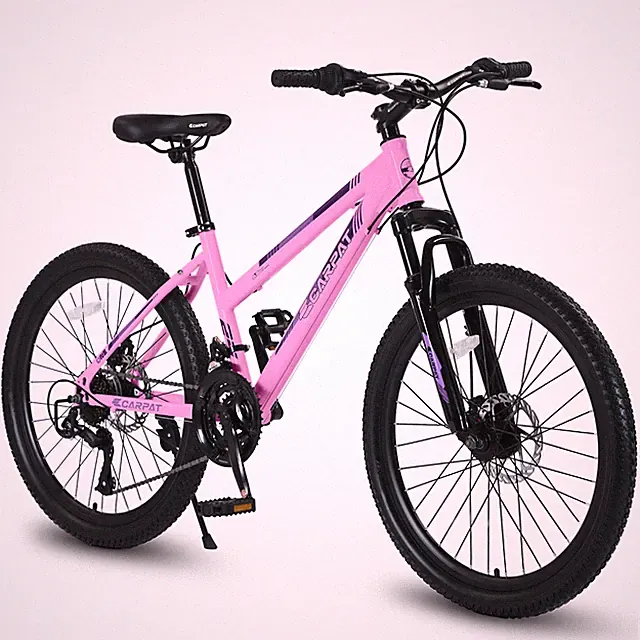 26 Inch Mountain Bike for Teenagers Girls Shimano 21 Speed Dual Disc Brake
